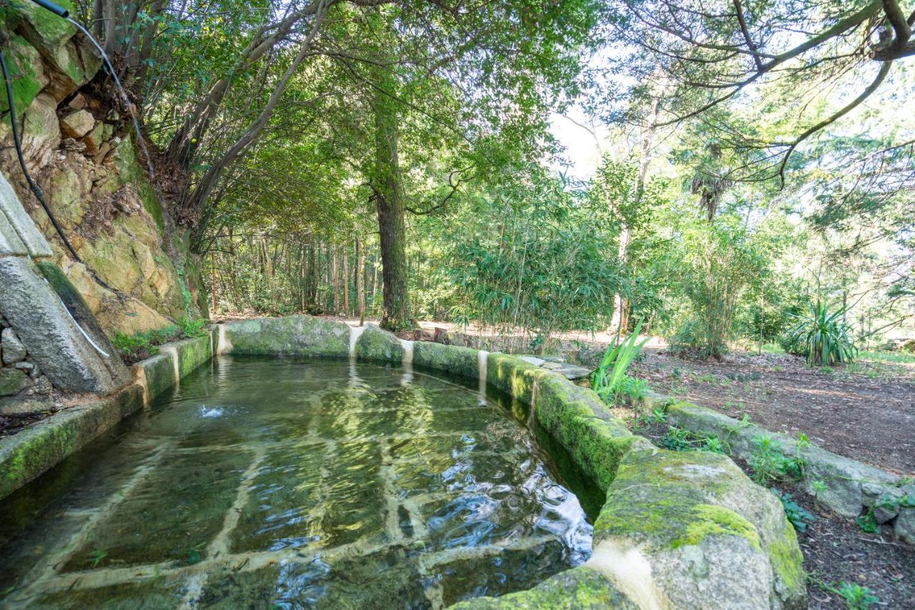 Quinta Das Lamas - Antiga Adega Vouzela Exterior photo